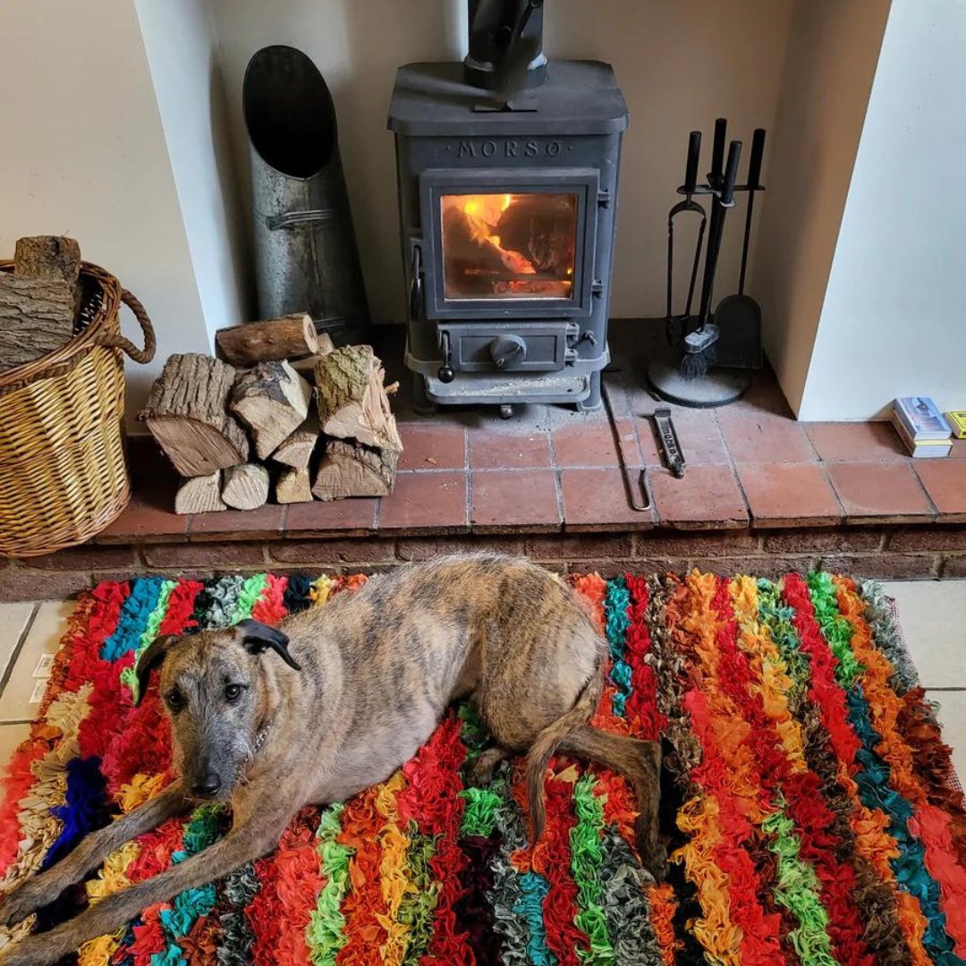 Second Nature Online tweet media