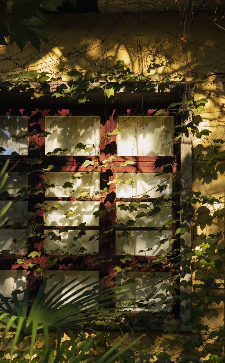 StudyatUSTC's tweet photo. As you wander through the campus, did you notice how the sunlight weaves its magic at USTC? The dance of light and shadow adds a touch of poetry to the vibrant tapestry of USTC's spirit.
#Campus #CampusView #CampusLife #StudyInChina #StudyAtUSTC #USTC #中国科学技术大学 #中科大 https://t.co/NolKCHtDpa