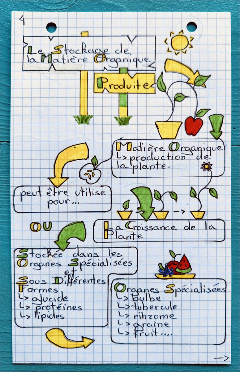 LGrenouilles's tweet image. Bravo à Romuald pour ses #sketchnotes qui lui permettent de réviser ses leçons !