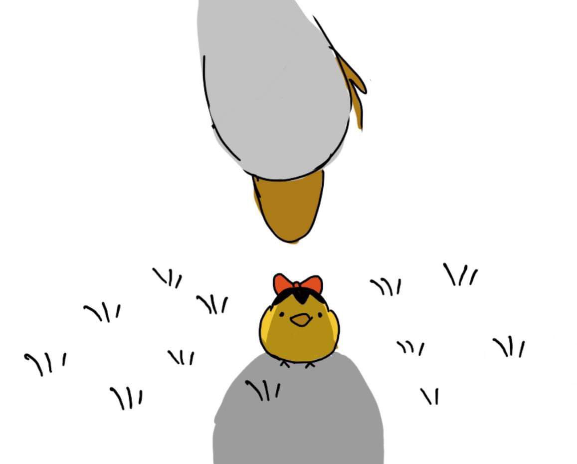wewo tweet media