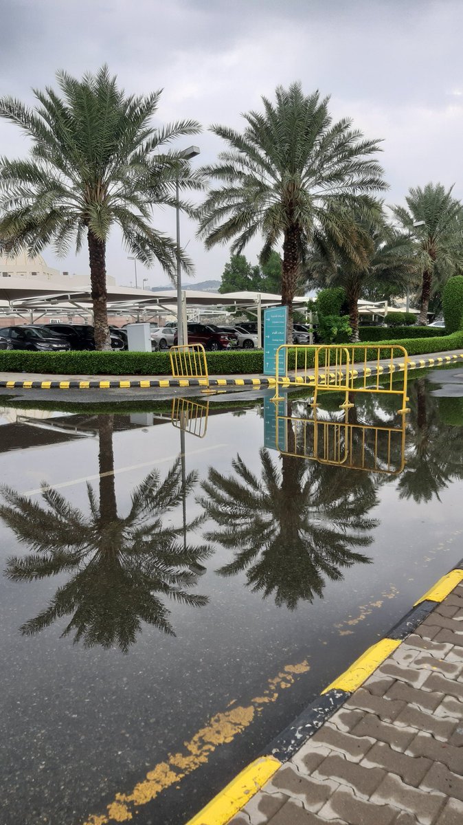 مكتي الحبيبة 
ما اجملك وما اغلى ثراك الطاهر
صورة بعد هطول الغيث اليوم من مستشفى الملك عبدالله رحمه الله تعالى

اللهم ادم على بلادي نعمة الأمن والأمان و الخير والعز  💙🤍💙