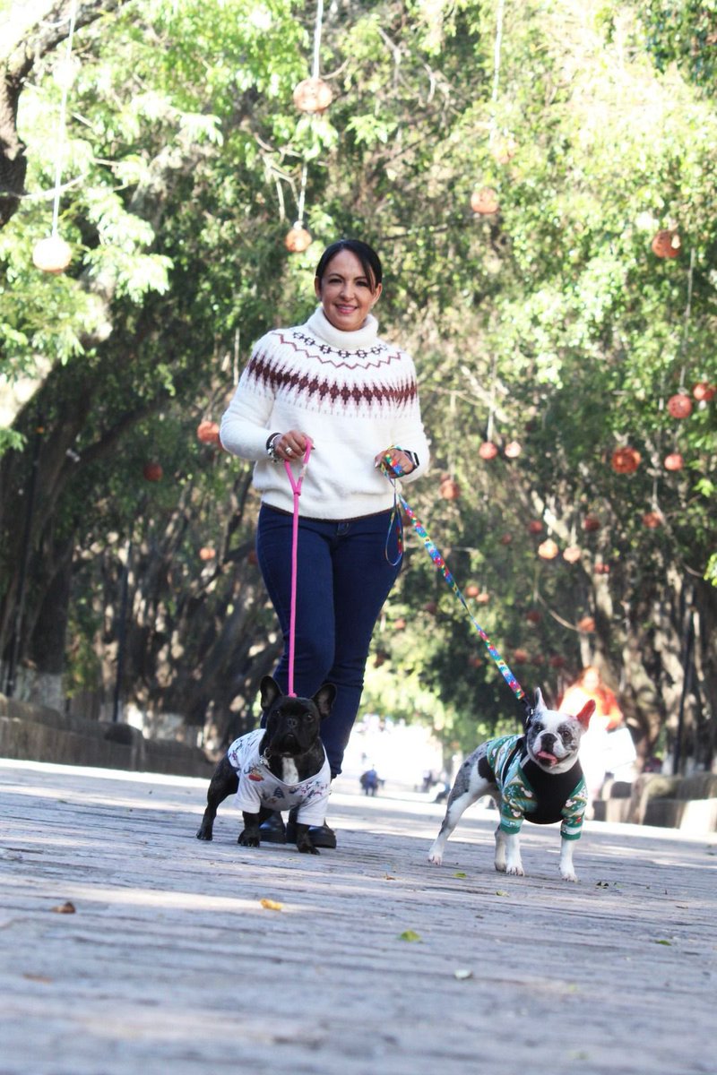 ¡Espero que su día sea tan feliz cómo el de Masha, Bimba y  mío! 🐾🐾
Agradezco a <a href="/PuppyPic/">#PuppyPic</a> por esta increíble sesión, donde nos divertimos mucho.

#dogfriendly #perretes  #Lomitos  #doglovers