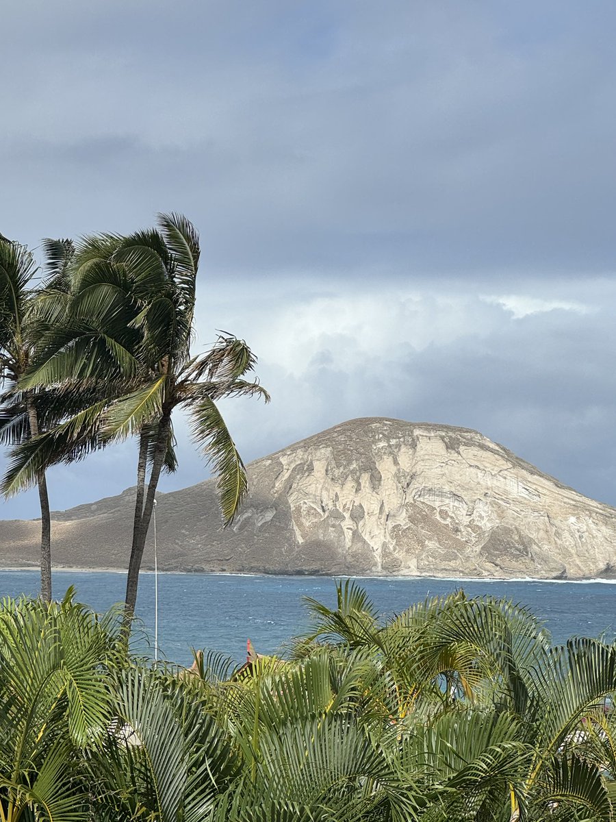 daniellevhadley's tweet photo. Until we meet again…#hawaii https://t.co/1elElRmZcJ