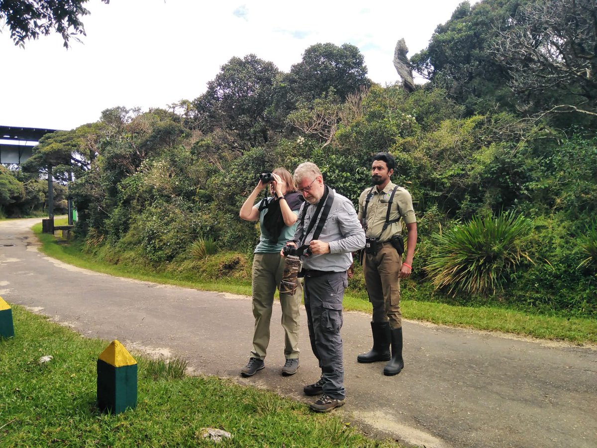 BandW_Team's tweet photo. On a recent birding trip with two British birders.

https://t.co/0heGHRMMLE Sri Lanka 

#birds #birdwatching #birding #nature #wildlife #naturephotography #srilankatour #birdandwildlifeteam https://t.co/V7f2tNr5nG