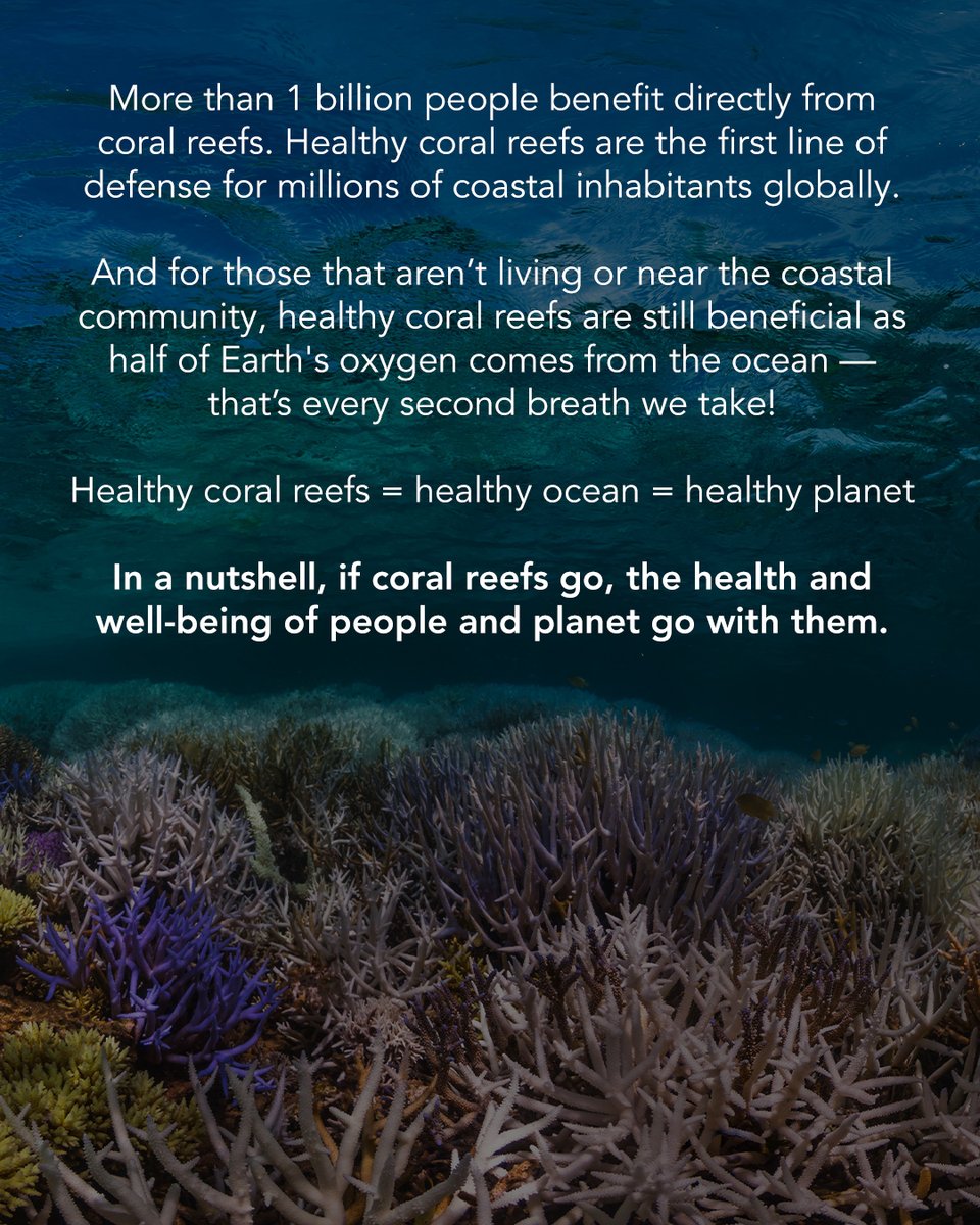 🪸 Why are #coralreefs important to all of us? Corals aren't the only species at risk in our warming world. According to the @IPBES, more than 1 million species of plants and animals face extinction in the coming decades, placing human well-being and survival at risk.