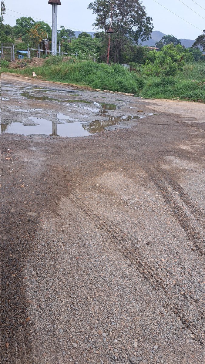 NoticiasdeAqui's tweet photo. "El eterno bote de agua en la vía alterna, entrada hacia el Country Club. Monumento a la desidia de las autoridades. Ni en época de elecciones lo arreglan", reporte de @nachodominguez https://t.co/r8qAdbZQw1