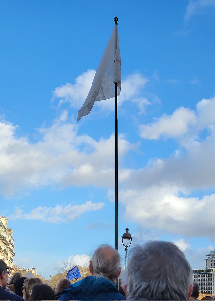 Dominique Collado tweet media