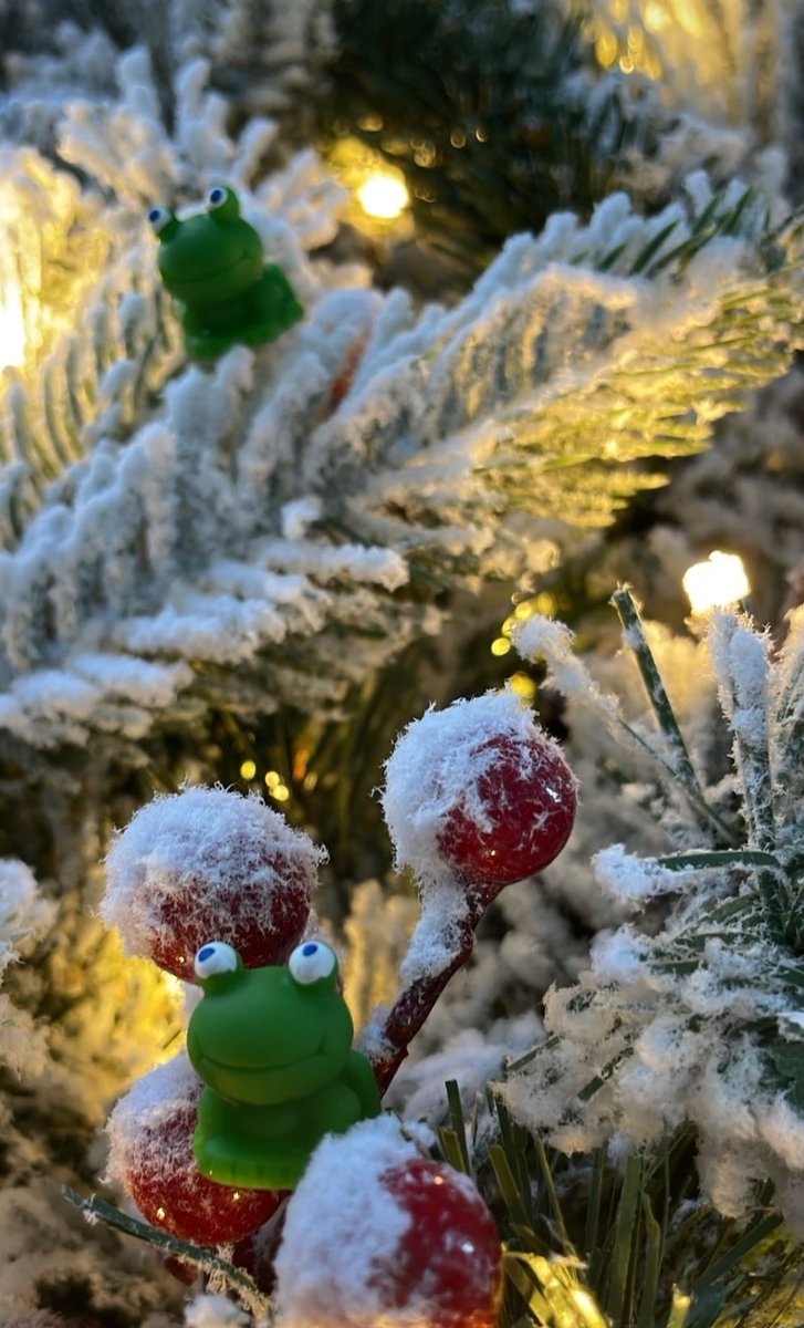 CharnwoodColl's tweet image. Look out for these little guys 🐸  over the coming weeks #housecompetition #rewards #attendance @dretnews @charnwoodcollpastoral @charnwoodks4 @charnwoodsixthform #95%