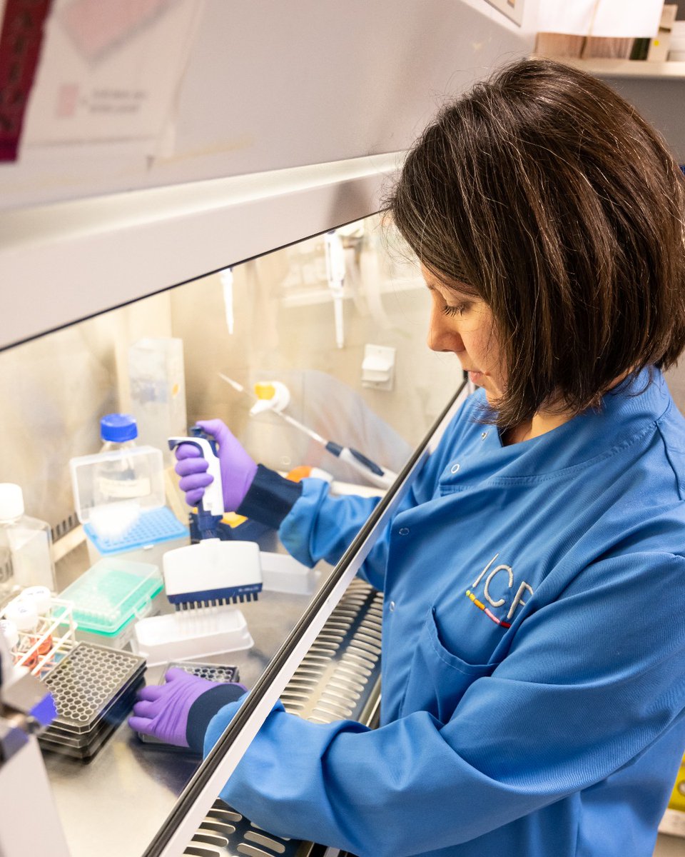 braintumourrsch's tweet photo. Exciting news 📣 

 The Brain Tumour Research Novel Therapeutics Accelerator has opened for its second round of applications. This program aims to transform promising brain tumour treatments into reality. 

Read more about the program ➡️ https://t.co/qgrcIAhfTq
 
#Research https://t.co/JBxhZ5nuNH