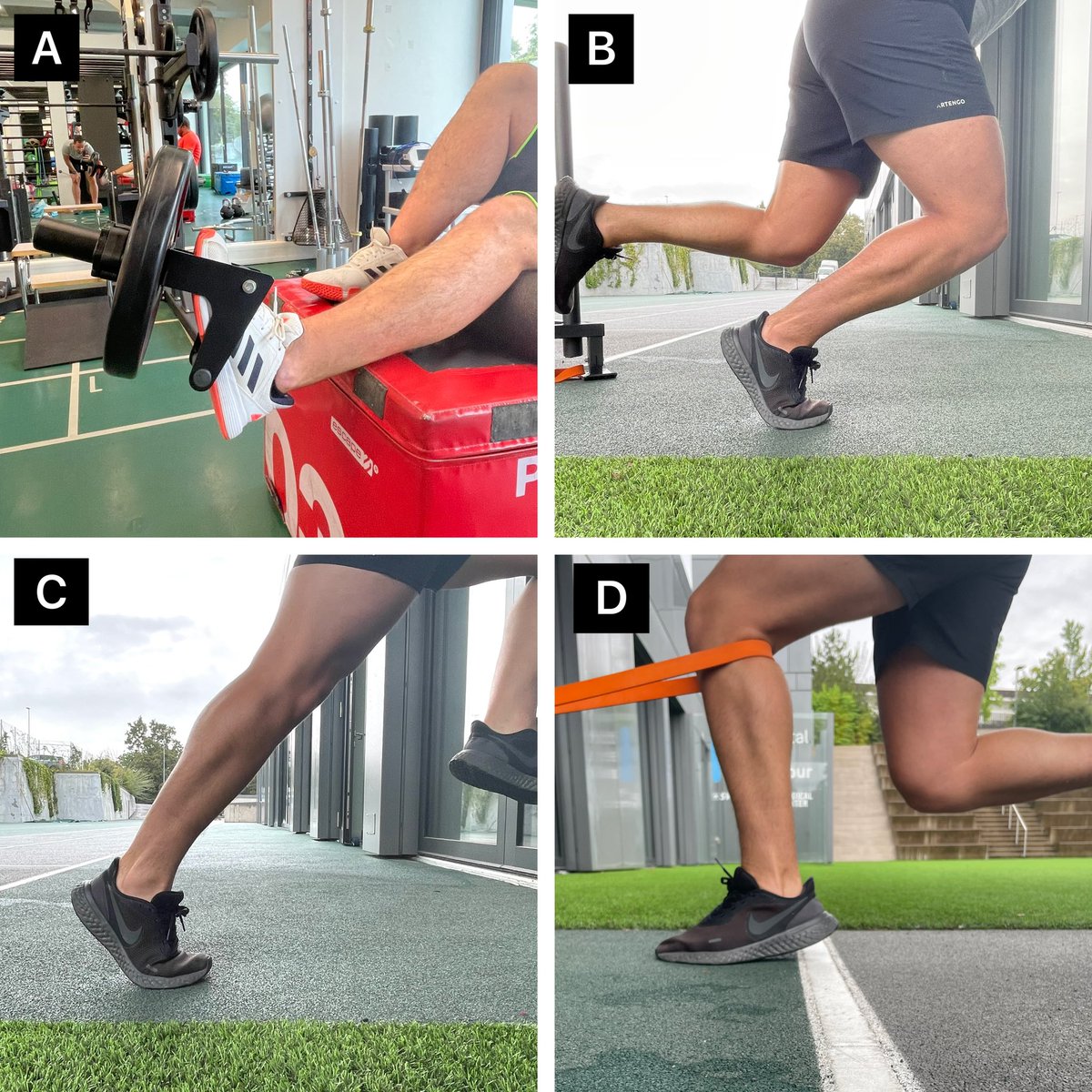 🚨NEW ARTICLE🚨 The Role of Foot-Ankle Complex After ACLR 📄 Re-building in the gym: 1️⃣ Soleus max. strength 💪 2️⃣ Shin ROM & discipline🦵 3️⃣ Forefoot stability & propriocept° ⚖️ 4️⃣ Springy foot-ankle complex 🚀 Special issue from @Aspetar journal 🔗 aspetar.com/Journal/viewar…