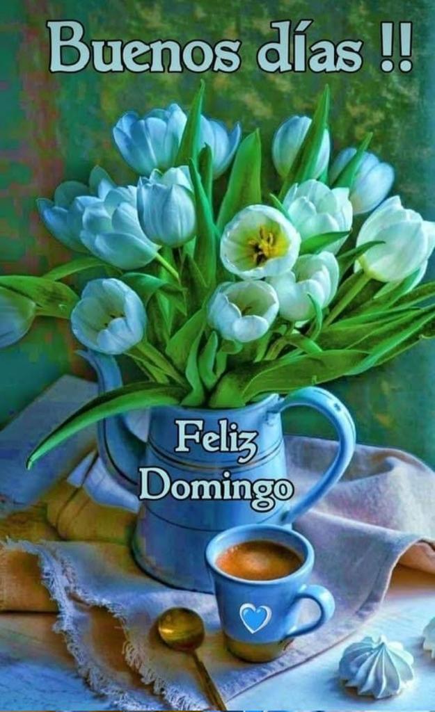 Lupe Monroy (@lupemonroy6) on Twitter photo 