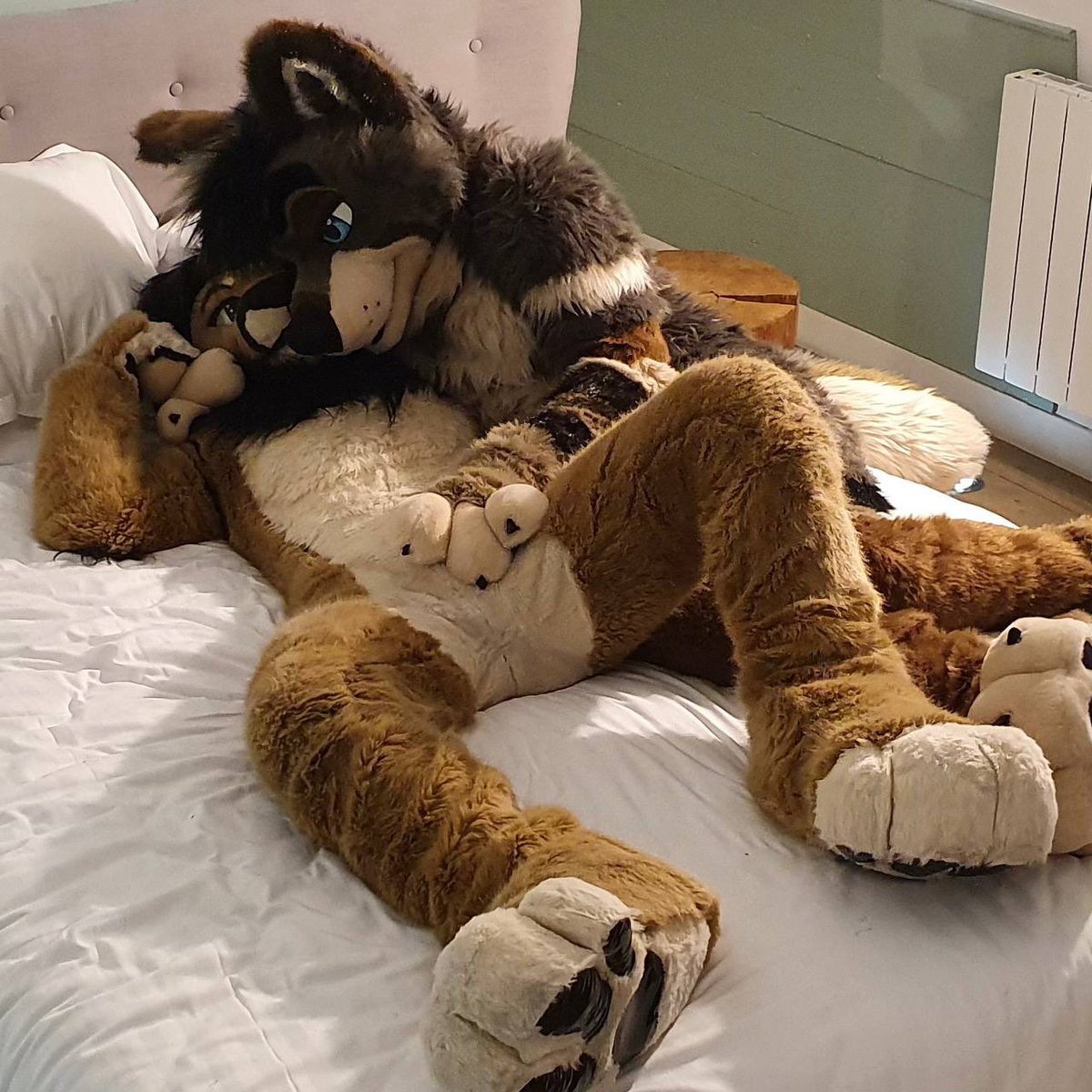 SonoxxLion's tweet photo. When a big wolf make you their boy 😮‍💨

🐺 @tavtavern https://t.co/8Y7G5s4y0t