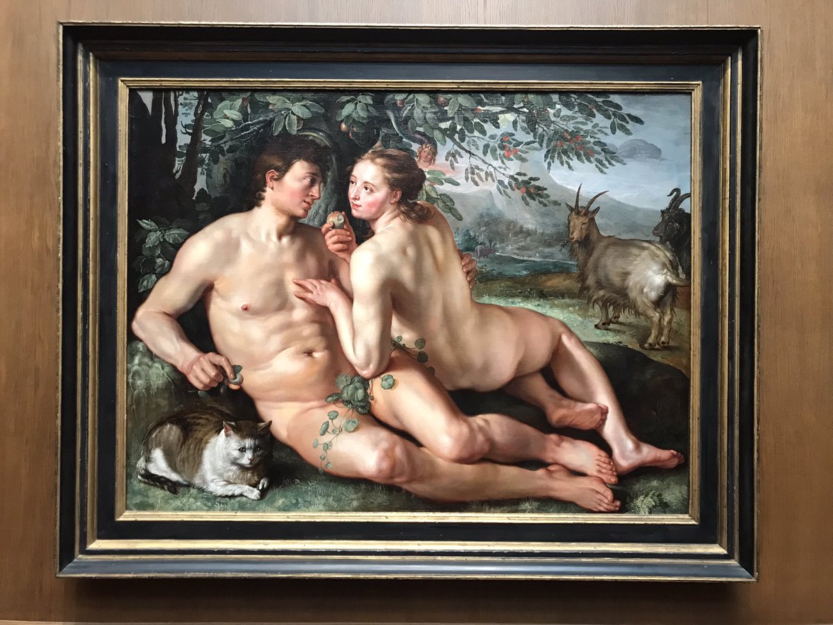 Kat 🦁 tweet media