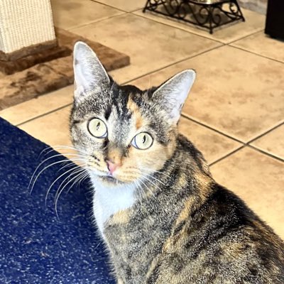 HeartOfAKing626's tweet photo. #NewProfilePic https://t.co/fteCk38wIk