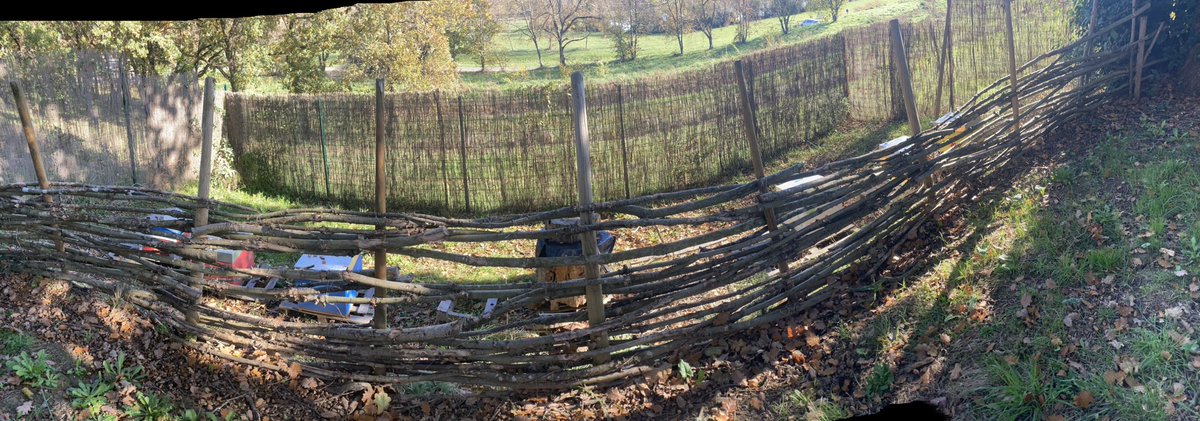 abeillesaramon's tweet photo. Un petit coucou du rucher par cette belle matinée d’automne https://t.co/oD8fKhpb5S