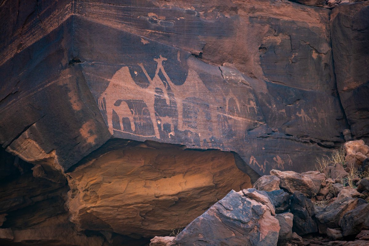 محمد الخمسان tweet media