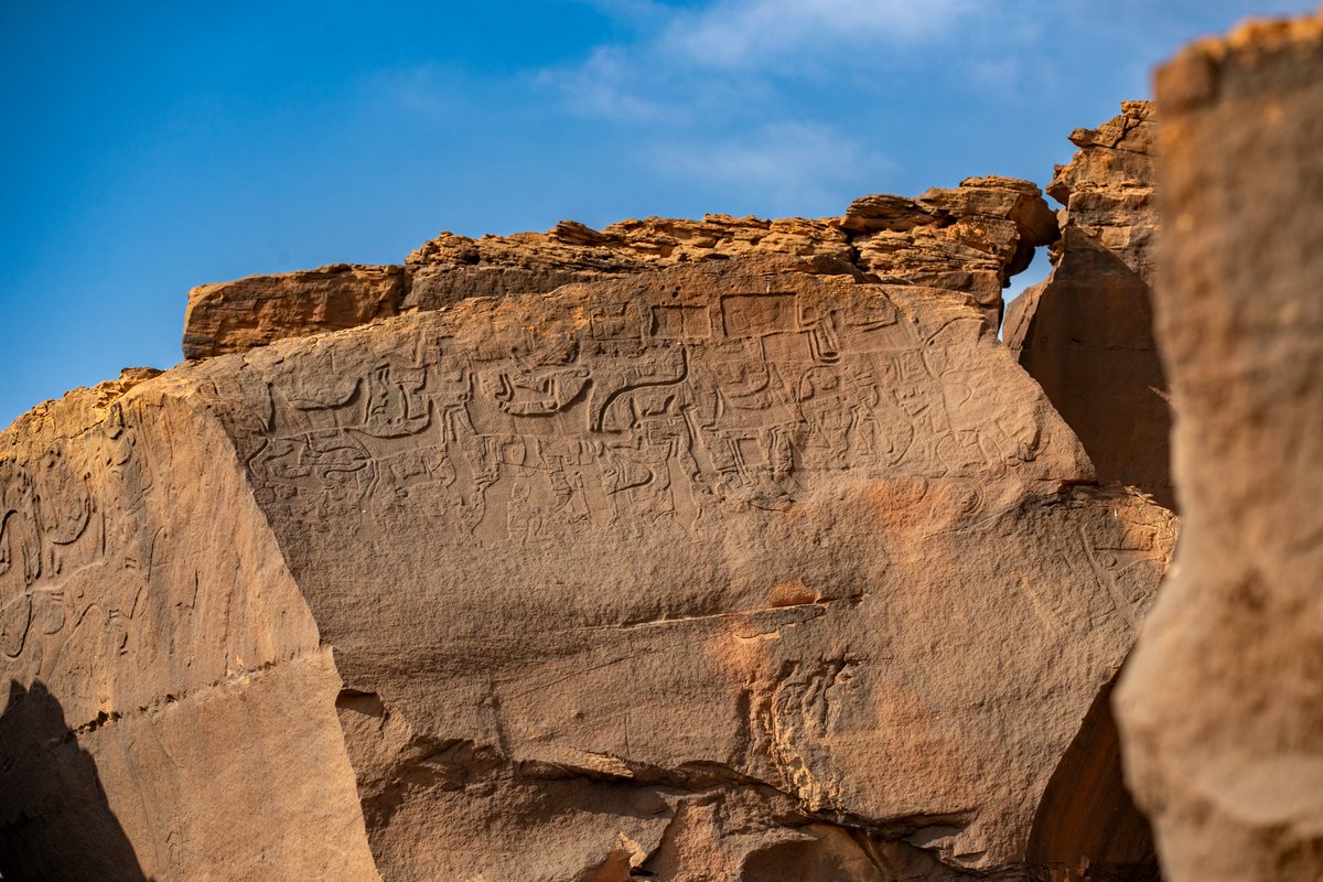 محمد الخمسان tweet media