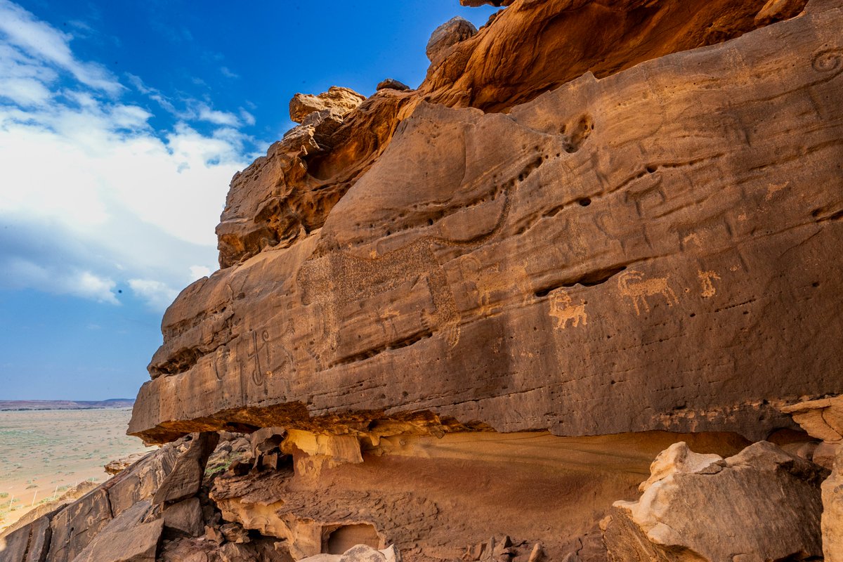 محمد الخمسان tweet media