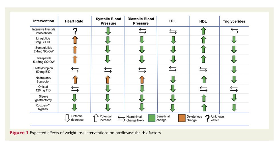 scottisaacsmd's tweet photo. This article discusses the cardiovascular benefits of new weight loss therapies.
https://t.co/JEqgATWdgf https://t.co/dFpnndiVUd