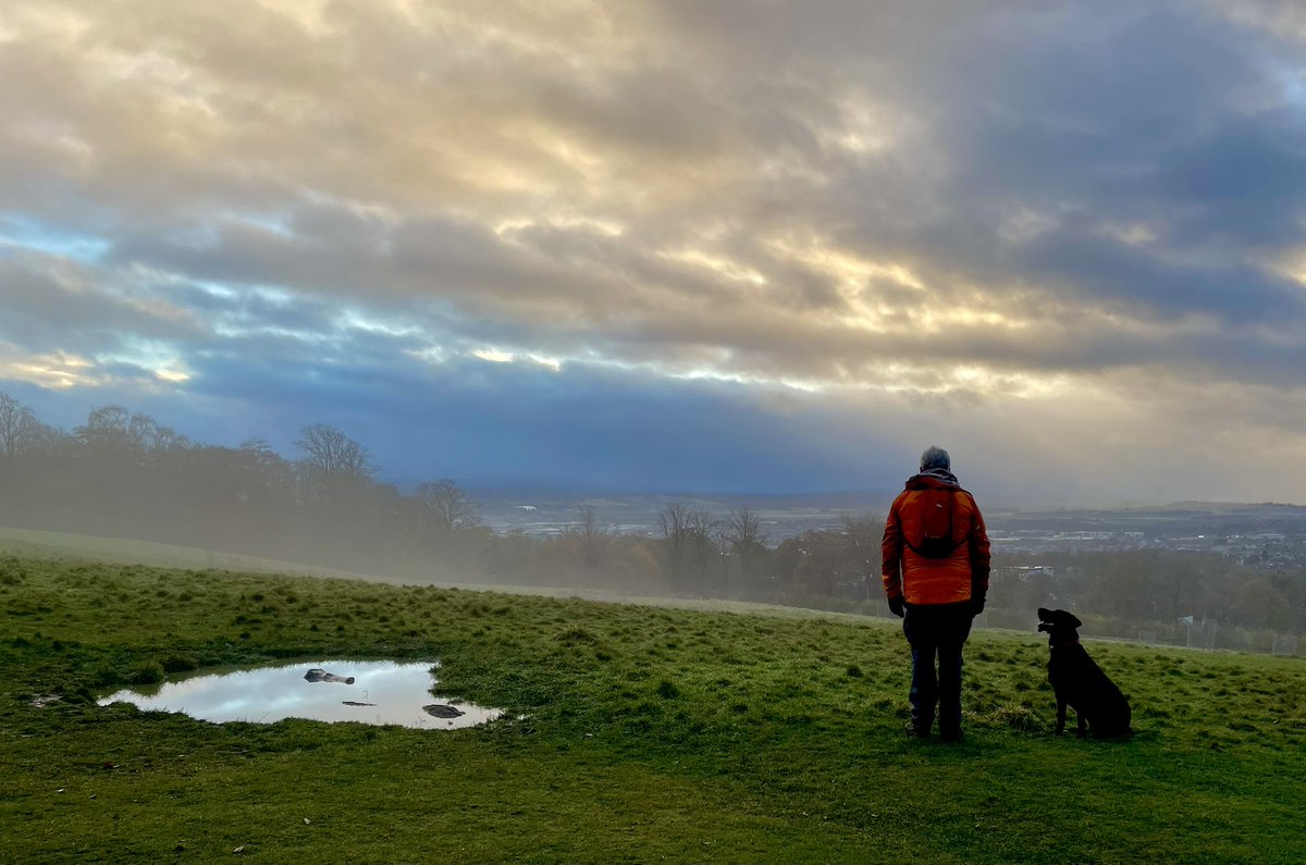 Groundhog Day but in a beautiful way! Unexpected atmospheric wander on Corstorphine Hill yesterday 🌫️☀️🐕‍🦺 @GordonS_moho @MayorCorstophin @FOCorstorphineH #CorstorphineHill #EDINBURGH