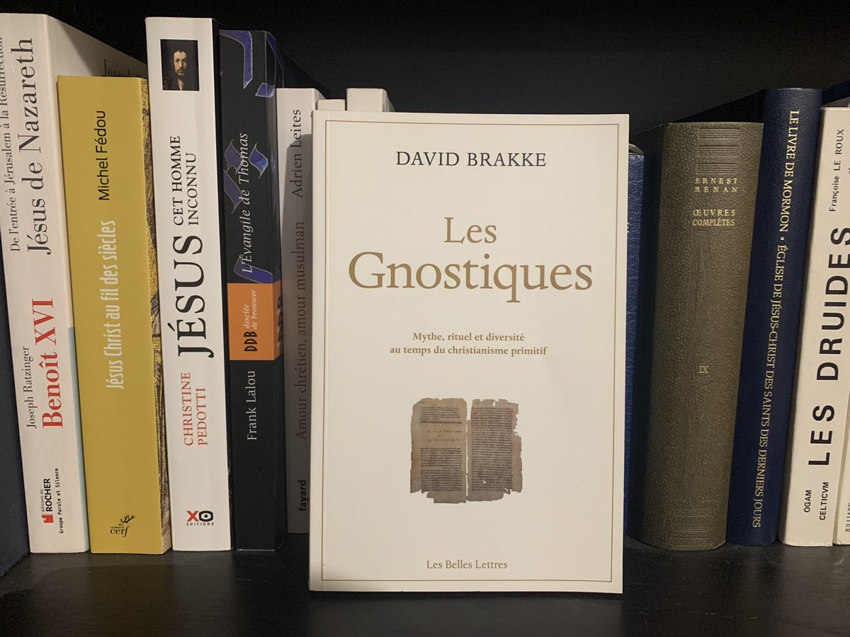 @TimdeRauglaudre @Ergiast les gnostiques - David Brakke- éditions @BellesLettresEd