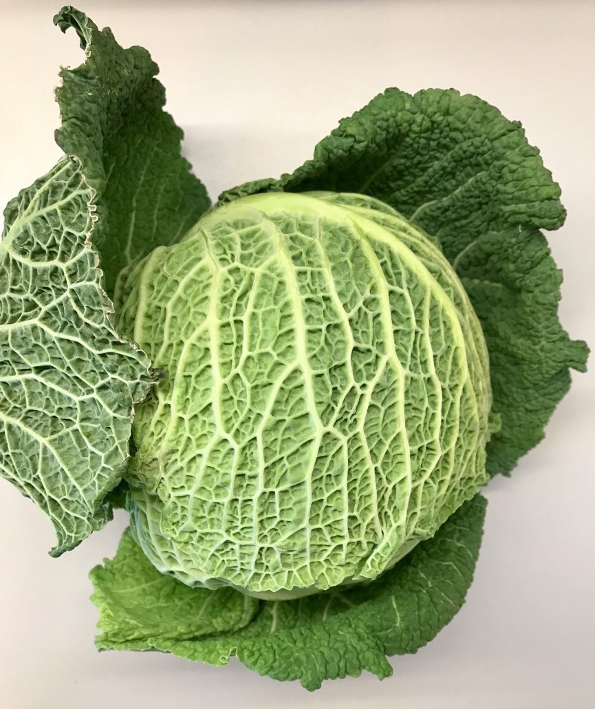 Sergej Suskov 🖥️ tweet media