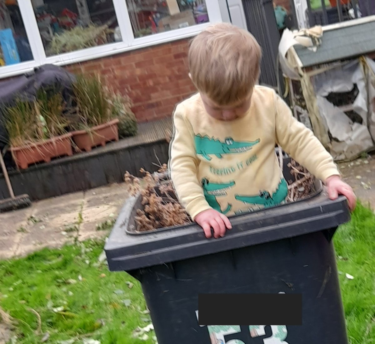 DadsTweetDiary's tweet photo. Helping daddy. https://t.co/NzulSDuNqx