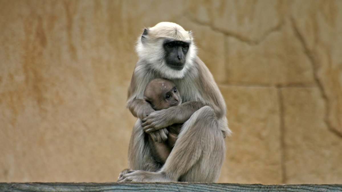 Outforia tweet media