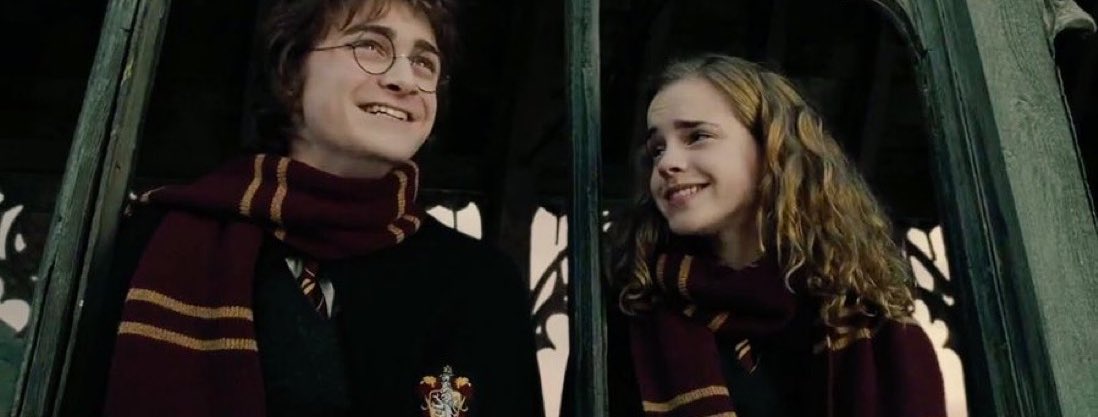 voidxfanboy's tweet photo. In realtà Hermione non si è mai allontanata da Harry nei libri, è rimasta sempre al suo fianco #HarryPotter https://t.co/pHU9T5IeXl