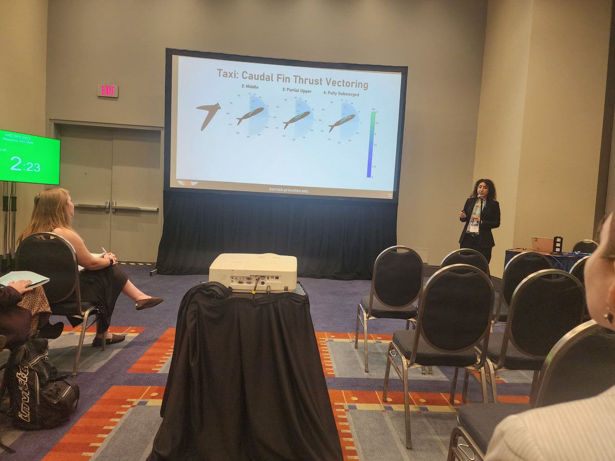 <a href="/eagerexocoetus/">Valeria Saro-Cortes</a>  in action! Lots of insights and lots to look forward to.