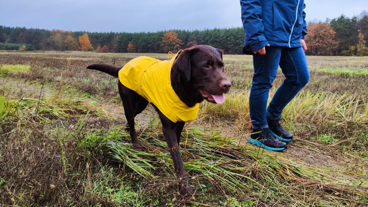 Regen kann mir nichts mehr anhaben!