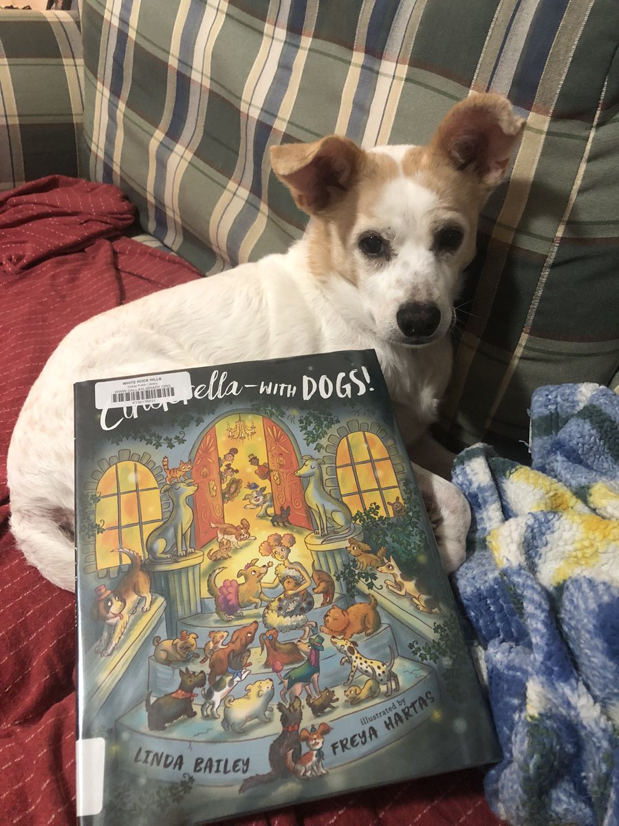 Bethe Marie Lehman tweet media