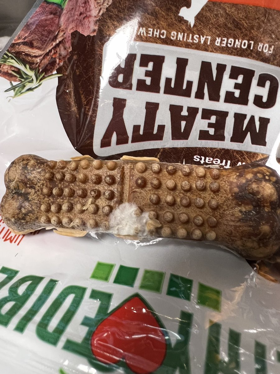 JulesinBOS's tweet photo. Ew, @nylabone, I’m not happy. https://t.co/8IHJwdXip6