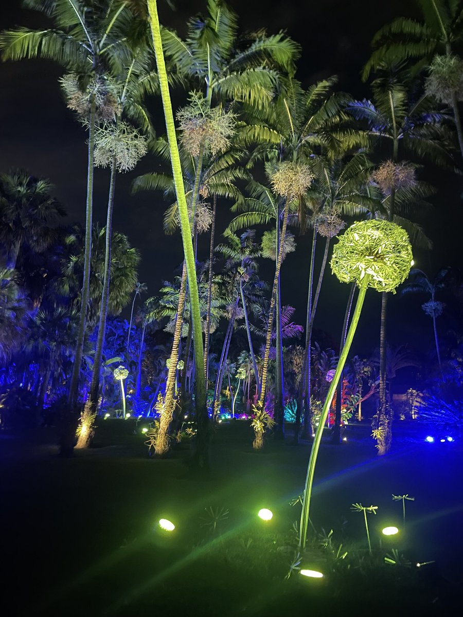 _digitz13's tweet photo. @FairchildGarden https://t.co/cjIUZmc7H7