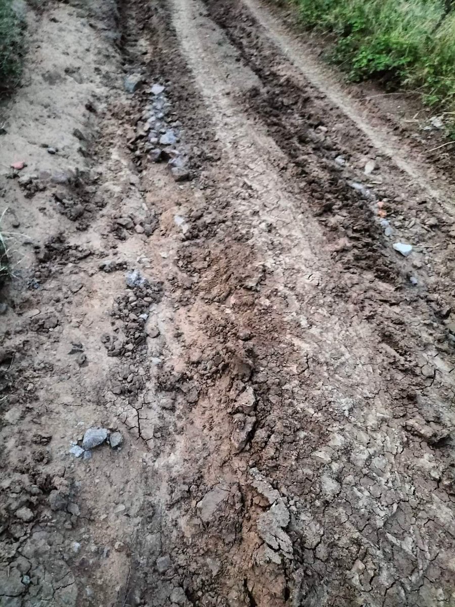 Burası Karamürsel kızderbent mahallesi arazi yolları yeni tarandı asfalt yolun hali de ortada daha 2 ay oldu o yolun asfaltlanmasi yazık <a href="/kocaelibld/">Kocaeli Büyükşehir</a>