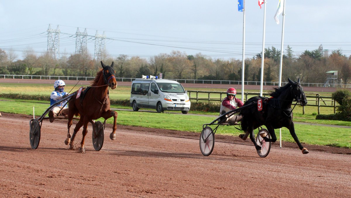 mondor44's tweet photo. Le frère utérin d’Izoard Vedaquais par Ready Cash, Lister Vedaquais s’est imposé plaisamment pour ses débuts à Cordemais aujourd'hui. Il devance Leader d'aimte (Ducato bourbon-Souveraine d'aimte par En finale). Ils se sont montrés plaisant dans la ligne droite et seront à suivre. https://t.co/FwT6LigAI1