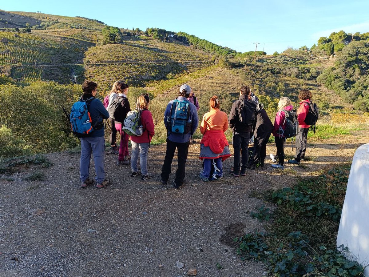 ContraEscritura's tweet photo. Ayer 13 personas decidieron vivir una parte de la historia que nos contó Lisa Fittko en Mi camino a través de los Pirineos en el lugar en que ocurrió.

Fue peculiar y genial hablar de libros en las montañas.

https://t.co/KYIIcWNV8Z https://t.co/bFApgWO8RO