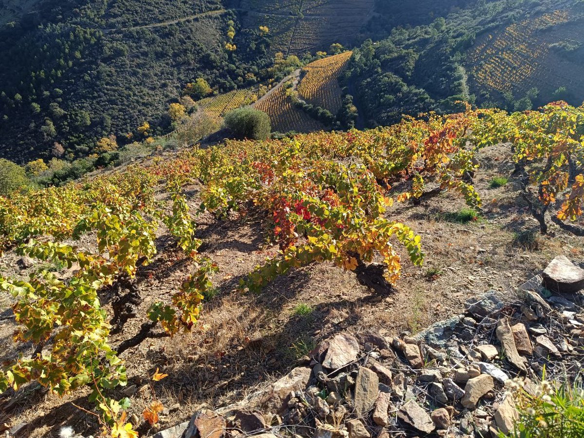 ContraEscritura's tweet photo. Ayer 13 personas decidieron vivir una parte de la historia que nos contó Lisa Fittko en Mi camino a través de los Pirineos en el lugar en que ocurrió.

Fue peculiar y genial hablar de libros en las montañas.

https://t.co/KYIIcWNV8Z https://t.co/bFApgWO8RO