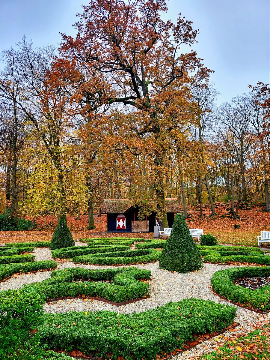 _agentv_'s tweet image. Clingendael blijft zo prachtig om doorheen te wandelen 🍂🍁🍄🎃