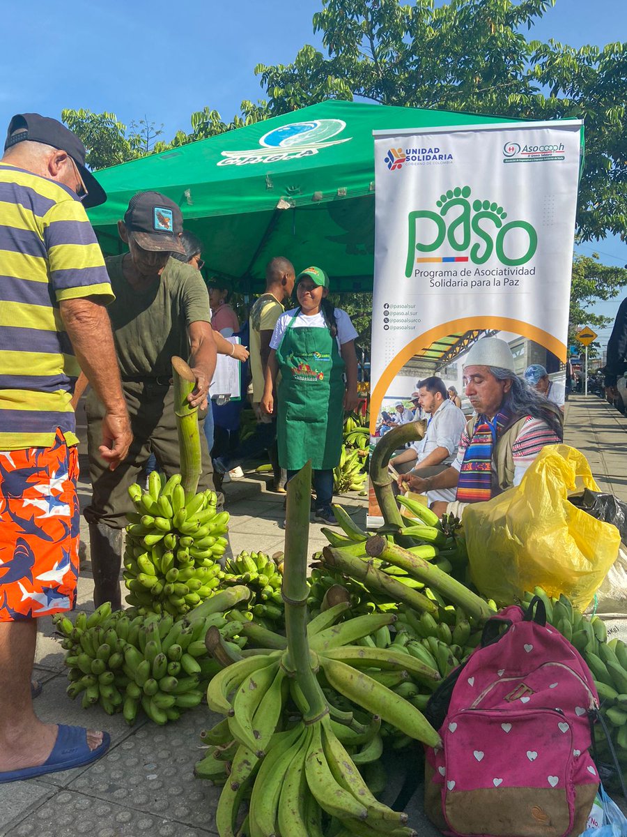 UsolidariaCo's tweet photo. Hoy estamos en el Parque principal Centenario de Puerto Asís, #Putumayo,donde más de  80  organizaciones de campesinos, artesanos y emprendimientos individuales se dan cita en el Mercado Campesino #TerritorioSolidario https://t.co/bO5QZfLzwh