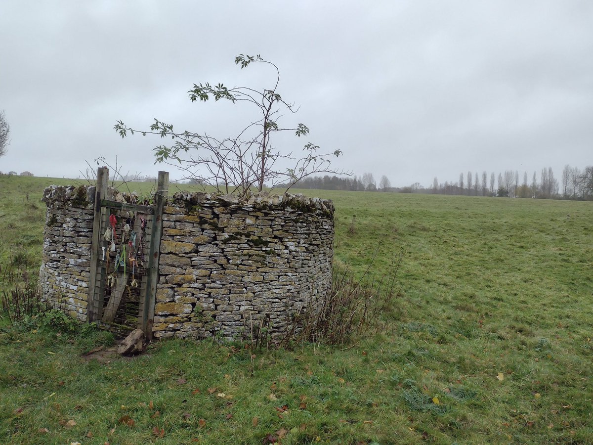 Oxon Weekend Walkers tweet media