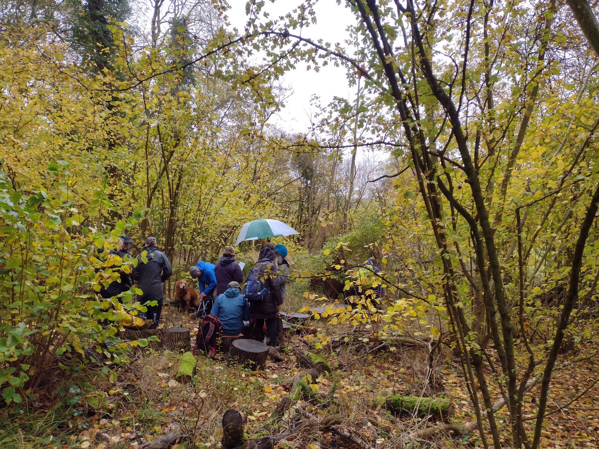 Oxon Weekend Walkers tweet media