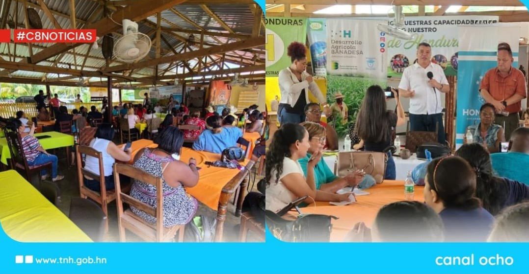 #C8Informa | 📌🗣️ El titular del Banco Nacional del Desarrollo Agricola ...