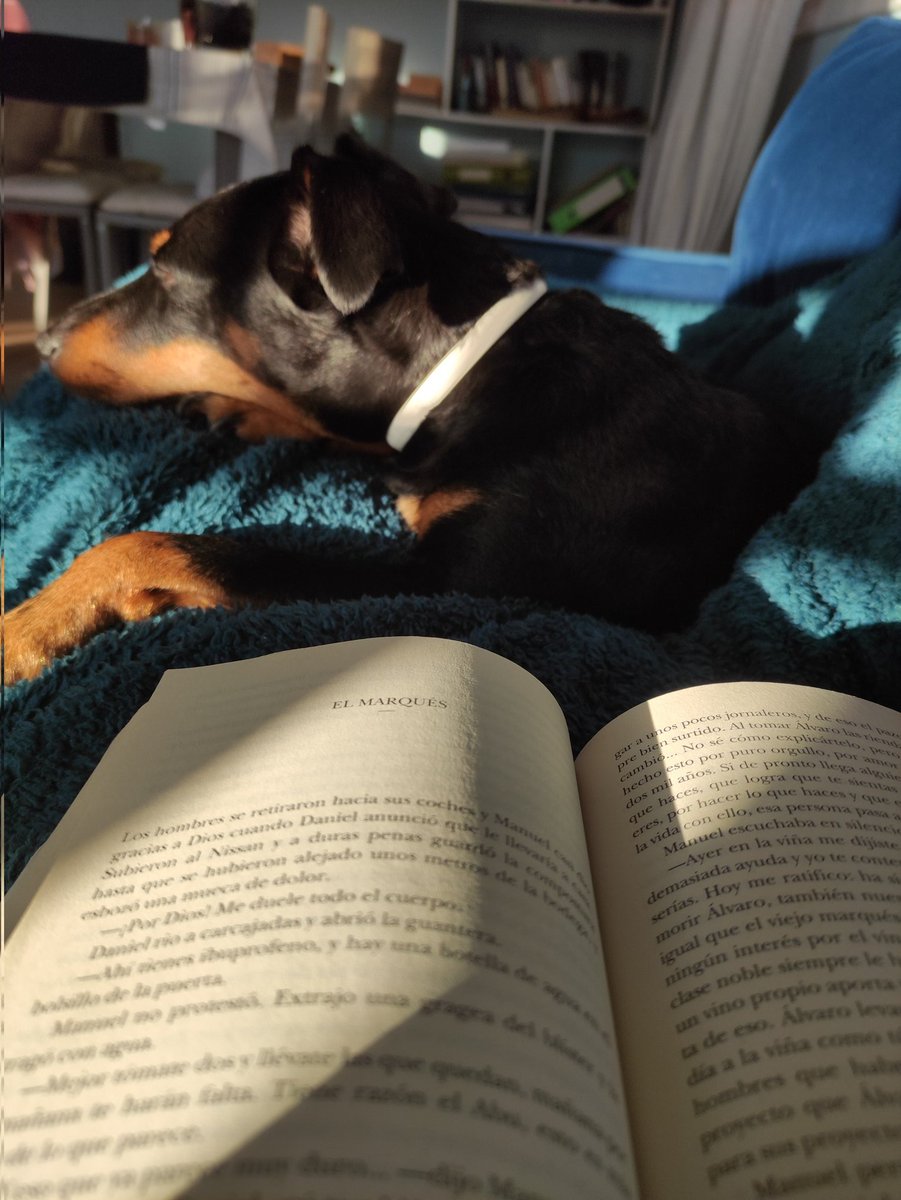 Laurabodes's tweet photo. Tarde de chill, hacía tiempo que iba necesitando este plan #novela #migorda #tardedelibro #nonecesitomas https://t.co/XQ1CKDMMUQ