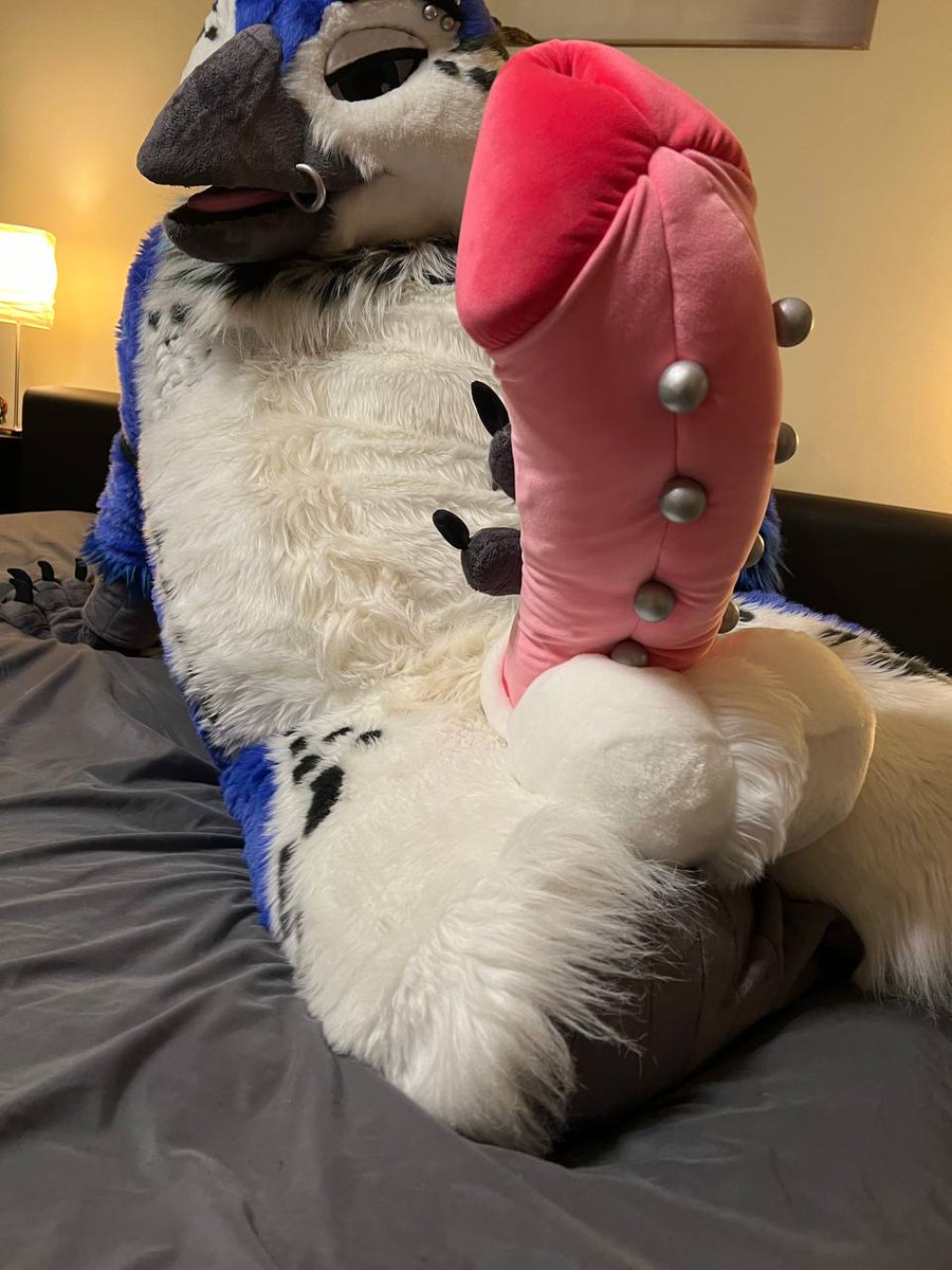 I heard ya'll like big bird PP 👀 what a wacky coincidence that I have one right here~

Just wanted to share my favorite solo pic from the recent photoshoot real quick :&gt;