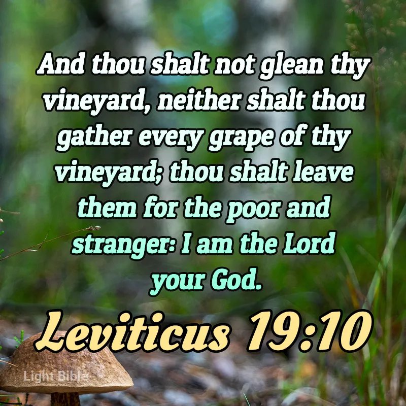 Davidsion Frank (@davidsionfrank) on Twitter photo 