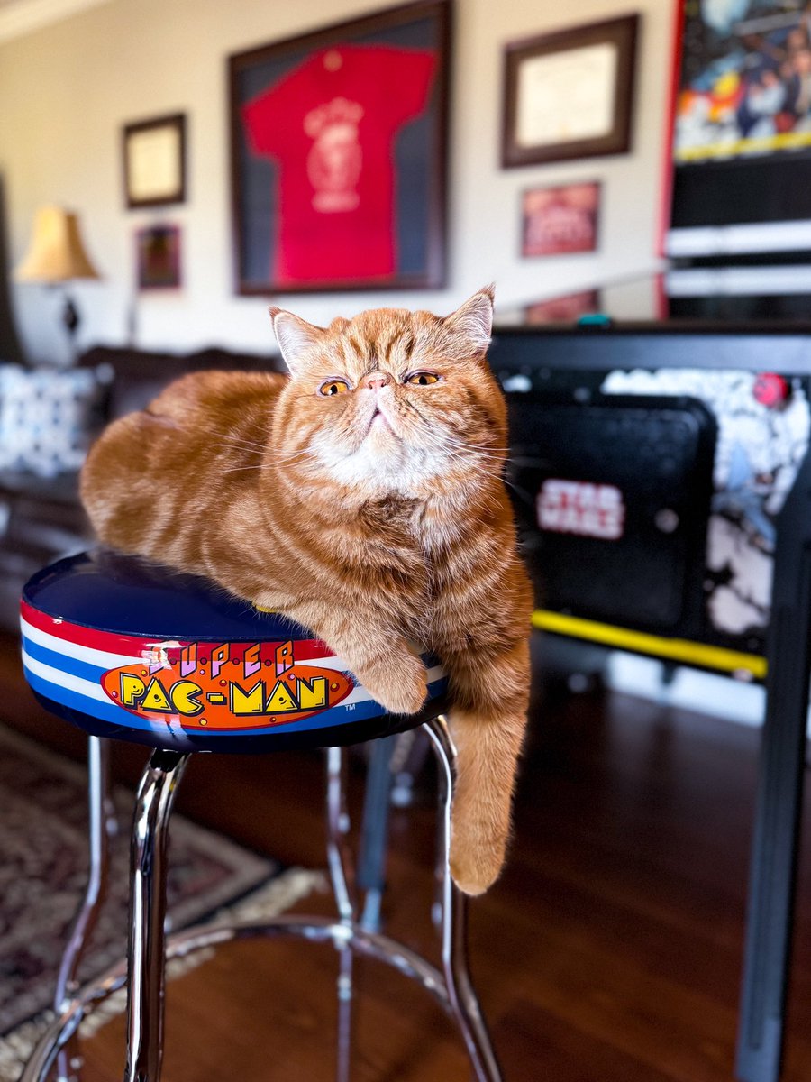 My Sunday morning pinball partner. <a href="/sternpinball/">Stern Pinball</a>