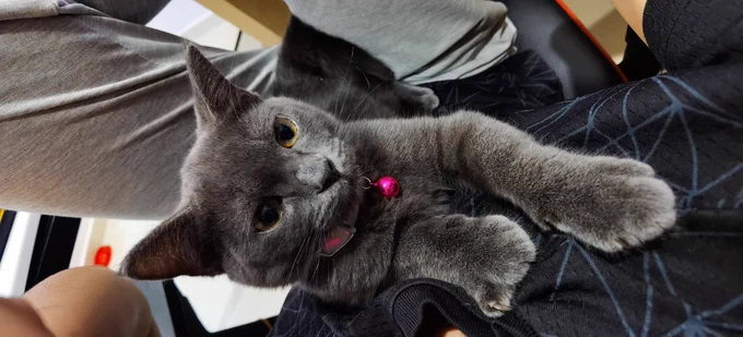 I'm stuck 