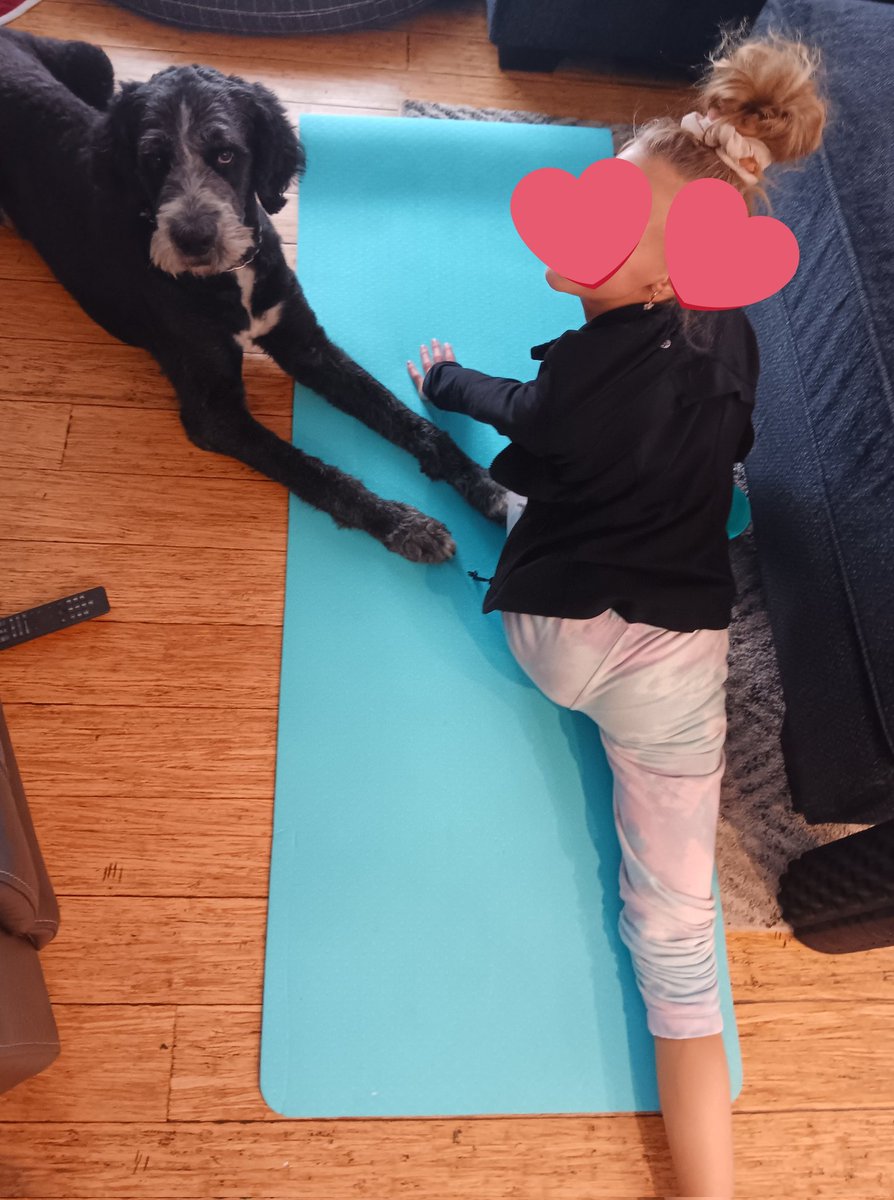 Personal space?!?!
He joined in at "downward dog".
