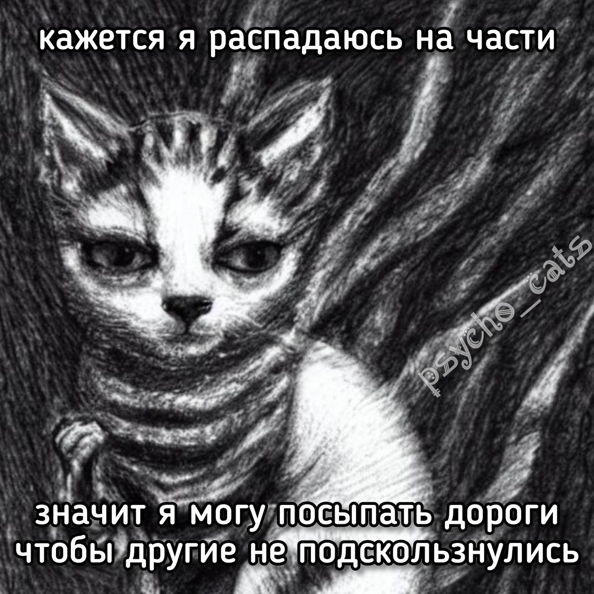 психокоты (@psycho__cats) on Twitter photo 